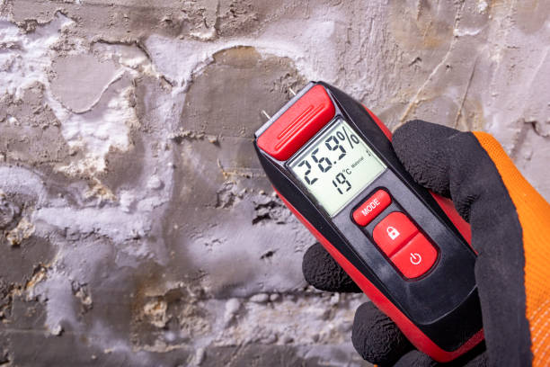 Best Emergency Mold Removal  in Lake Village, AR